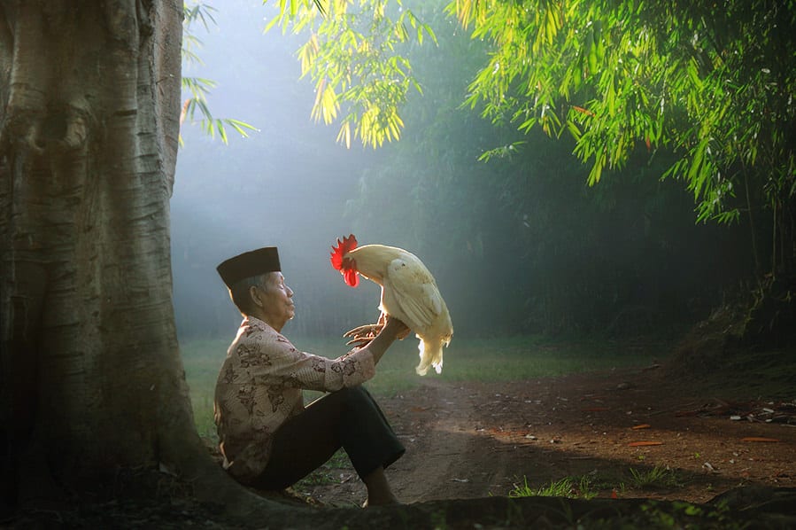 14. Foto Objek Alam Dusun - Original Achmad Munasit / Asit - Design Erlistic